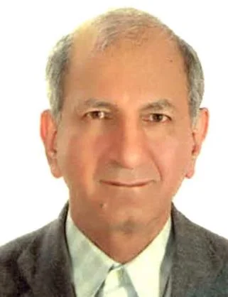 سيد عبدالحسين معصومی